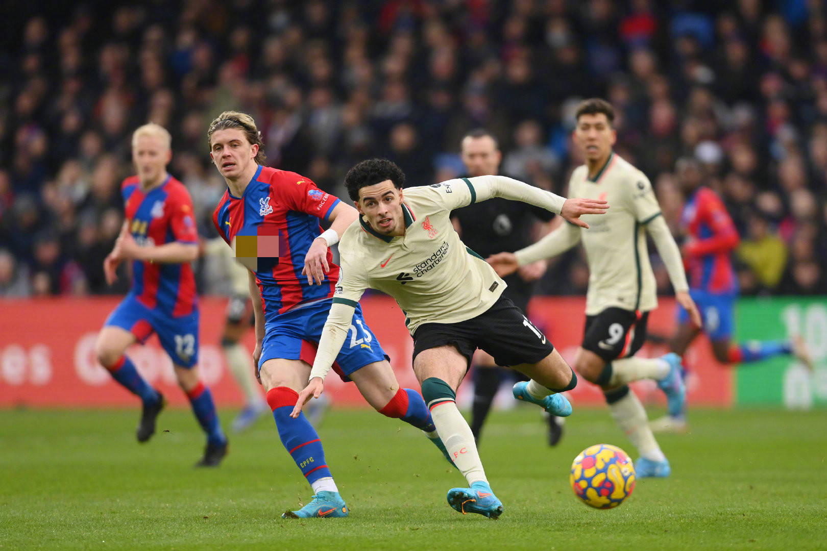 黄海青港的 黄海青港的